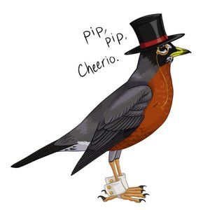 Meet your Posher, Veena